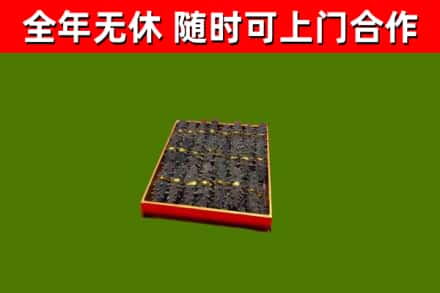古塔回收海参